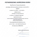 Powiększ obraz: certificate 6
