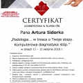 Powiększ obraz: certificate 12