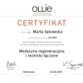 Powiększ obraz: certificate 5