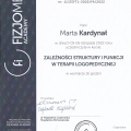 Powiększ obraz: certificate 9