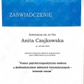 Powiększ obraz: certificate 3