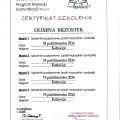 Powiększ obraz: certificate 1