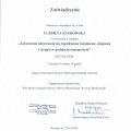 Powiększ obraz: certificate 4
