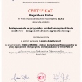 Powiększ obraz: certificate 17