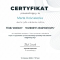 Powiększ obraz: certificate 3