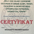 Powiększ obraz: certificate 5