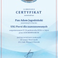 Powiększ obraz: certificate 6