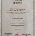 Powiększ obraz: certificate 2
