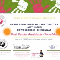 Powiększ obraz: certificate 1