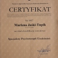Powiększ obraz: certificate 2