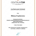 Powiększ obraz: certificate 2