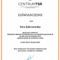 Powiększ obraz: certificate 3