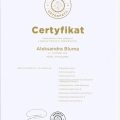 Powiększ obraz: certificate 3