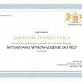 Powiększ obraz: certificate 2