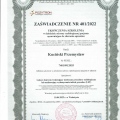 Powiększ obraz: certificate 19
