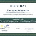 Powiększ obraz: certificate 4