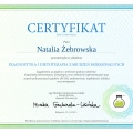 Powiększ obraz: certificate 5