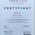 Powiększ obraz: certificate 5
