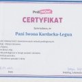 Powiększ obraz: certificate 4