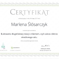 Powiększ obraz: certificate 5