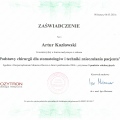 Powiększ obraz: certificate 2