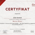 Powiększ obraz: certificate 7