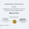 Powiększ obraz: certificate 3