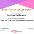 Powiększ obraz: certificate 2