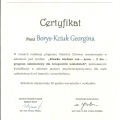 Powiększ obraz: certificate 3