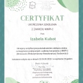 Powiększ obraz: certificate 2
