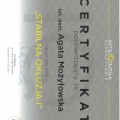 Powiększ obraz: certificate 13