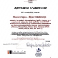Powiększ obraz: certificate 32