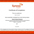 Powiększ obraz: certificate 5