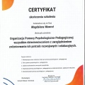 Powiększ obraz: certificate 13