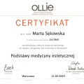Powiększ obraz: certificate 2