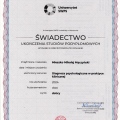 Powiększ obraz: certificate 2