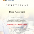 Powiększ obraz: certificate 4