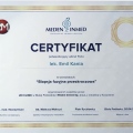 Powiększ obraz: certificate 2