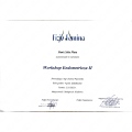 Powiększ obraz: certificate 15