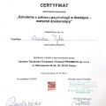 Powiększ obraz: certificate 12
