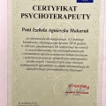 Powiększ obraz: certificate 5