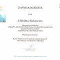 Powiększ obraz: certificate 7