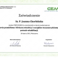 Powiększ obraz: certificate 13