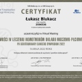 Powiększ obraz: certificate 29