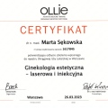 Powiększ obraz: certificate 9