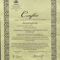 Powiększ obraz: certificate 13