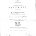 Powiększ obraz: certificate 2