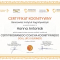 Powiększ obraz: certificate 3