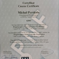 Powiększ obraz: certificate 1