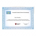 Powiększ obraz: certificate 2